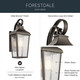 Forestdale One Light Outdoor Wall Mount (49735OZ)