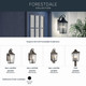 Forestdale One Light Outdoor Wall Mount (49735OZ)