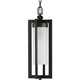 Janssen One Light Hanging Lantern (P550044-108)