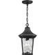 Marquette One Light Hanging Lantern (P550062-031)