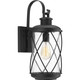 Hollingsworth One Light Wall Lantern (P560081-031)