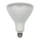 Westinghouse Lighting - 5306400 - Light Bulb - Frost