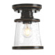 Emma Jane One Light Semi-Flush Mount (6113000)