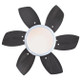 Quince 24"Ceiling Fan (7236600)