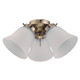 Westinghouse Lighting - 7784800 - LED Ceiling Fan Light Kit - Antique Brass