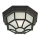 Forte - 17005-01-28 - One Light Outdoor Flush Mount - Painted Rust