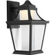 Endorse LED LED Wall Lantern (P6057-3130K9)