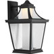 Endorse LED LED Wall Lantern (P6058-3130K9)