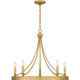 Aspyn Five Light Chandelier (APN5026LG) Aspyn Five Light Chandelier (APN5026LG)