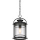 Booker One Light Outdoor Hanging Lantern (BKR1910K)