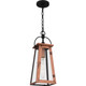 Carolina One Light Outdoor Hanging Lantern (CLN1907AC)