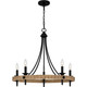 Quoizel - CNI5026MBK - Five Light Chandelier - Catania - Matte Black