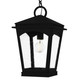 Huck One Light Outdoor Hanging Lantern (HUK1910EK)