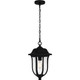 Quoizel - MUL1909MBK - One Light Outdoor Hanging Lantern - Mulberry - Matte Black