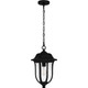 Mulberry One Light Outdoor Hanging Lantern (MUL1909MBK)
