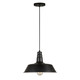 Forte - 7692-01-04 - One Light Pendant - Black