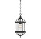 Kensington One Light Hanging Lantern (5-0631-BK)