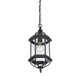 Kensington One Light Hanging Lantern (5-0631-BK)
