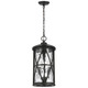 Generation Lighting - OL15209ANBZ - Three Light Outdoor Pendant - Millbrooke - Antique Bronze