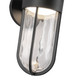 Davy LED Exterior Wall Sconce (EW17627-BK)