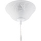 Fan Light Kits LED Fan Light Kit (P2612-01WB)