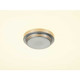 Bezel LED LED Flush Mount (P350087-009-30)