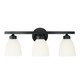 Jameson Three Light Vanity (114331MB-333)