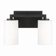 Ravenwood Two Light Vanity (119821BI-545)