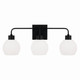 Tanner Three Light Vanity (120031MB-540)
