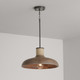 Jacob One Light Pendant (340312YG)