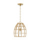 Capital Lighting - 344111MA - One Light Pendant - Wren - Matte Brass