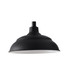 RLM One Light Outdoor Hanging Lantern (936311BK)