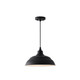 RLM One Light Outdoor Hanging Lantern (936311BK)