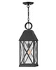 Hinkley - 23302MB - LED Hanging Lantern - Briar - Museum Black