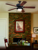 Pro Builder 209 52``Ceiling Fan (C209ABZ)