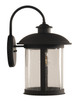 O'Fallon One Light Outdoor Wall Mount (ZA3224-DBG)