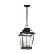 Falmouth Four Light Hanging Lantern (CO1054DWZ)