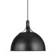 Logan One Light Pendant (TP1071AI)