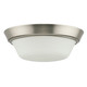 manufacturer_finish:Brushed Nickel