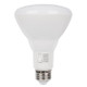Westinghouse Lighting - 5349000 - Light Bulb - Frost