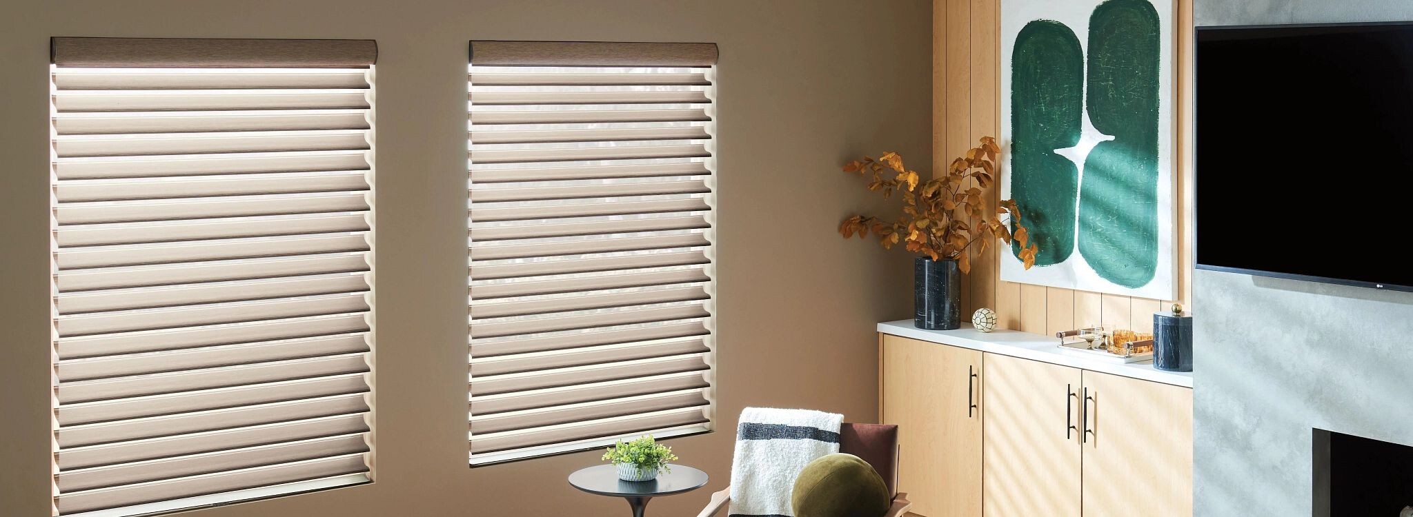 Graber sheer window shades