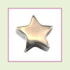 Star (Silver) Stainless Steel Floating Charm