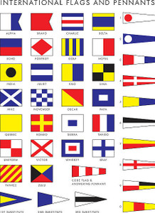 Individual Code Flags Individual Code Flags