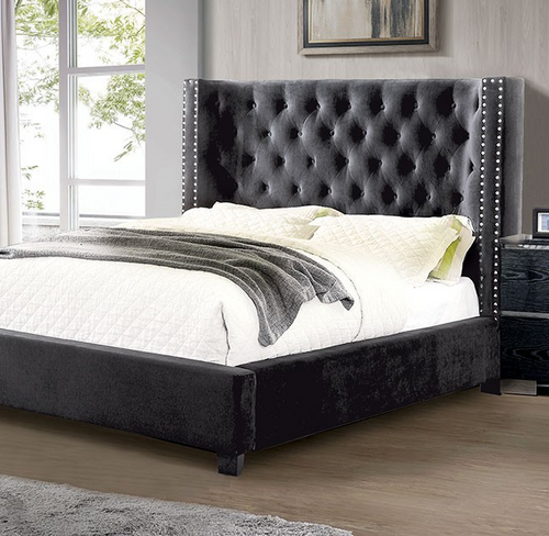 Cayla Bed Frame Queen DG