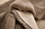 Chinchilla Area Rug MC  7'6"x10'3"