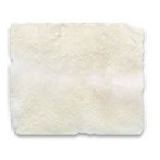 Alamo Biologics 15mm x 20mm VeraGraft Pericardium Membrane (AT827FD)