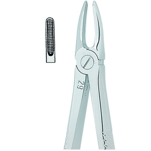 Kohler #29 English Pattern Medium-Size Extraction Forceps with Non-Slip Beaks (1293)
