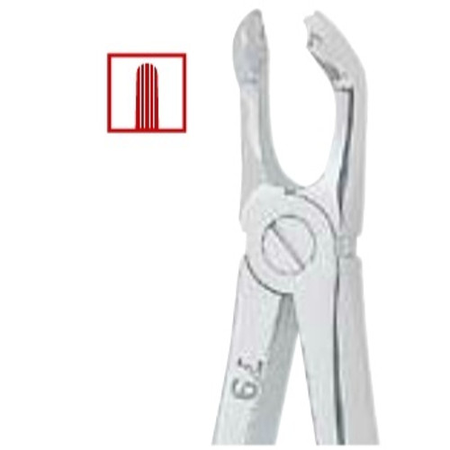 Kohler #79 English Pattern Medium-Size Extraction Forceps with Grooved Beaks (1435)