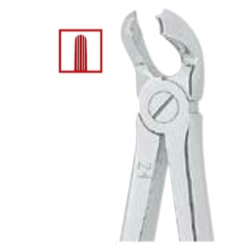 Kohler #21 English Pattern Medium-Size Extraction Forceps with Grooved Beaks (1436)