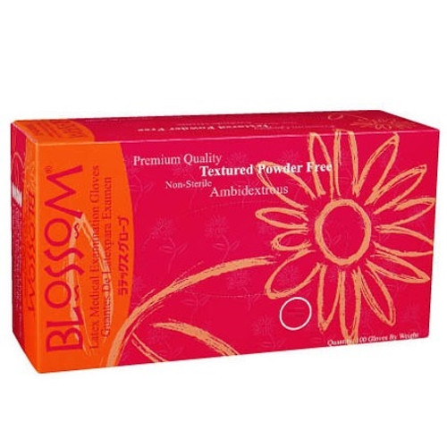 Mexpo Large Blossom Powder-Free Latex Exam Gloves